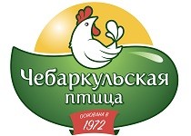 Чебаркульская птица