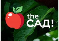 The Сад