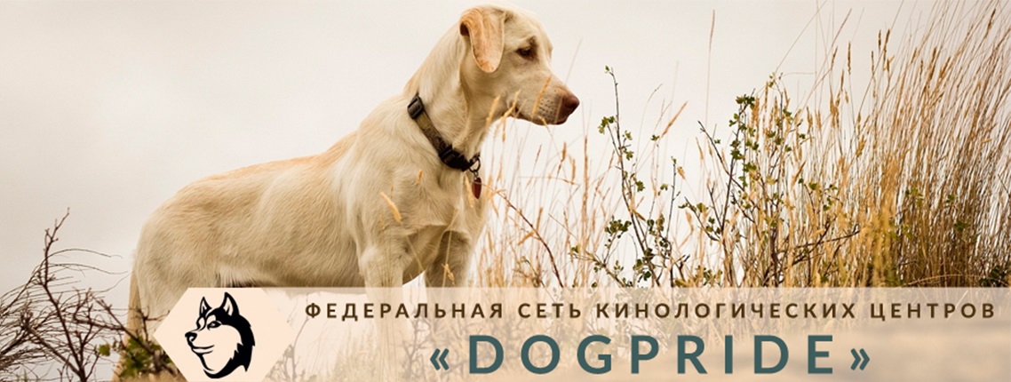 DogPride